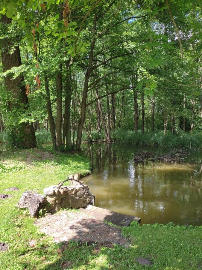 Agroturystyka Kajaki Sauna Pierogi Bakalarzewo Esterno foto