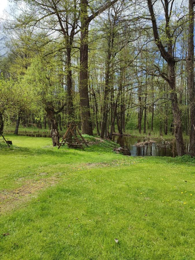 Agroturystyka Kajaki Sauna Pierogi Bakalarzewo Esterno foto